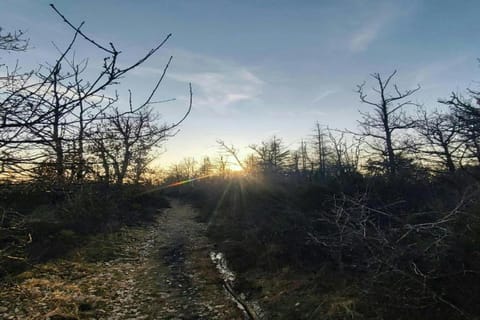 Region [summer] (>5 km)