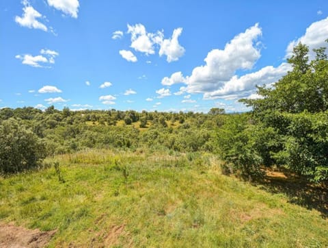 Region [summer] (>5 km)