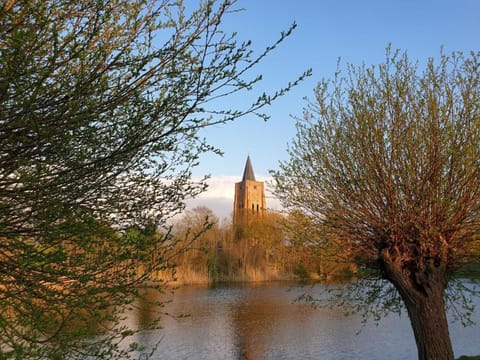 Region [summer] (>5 km)