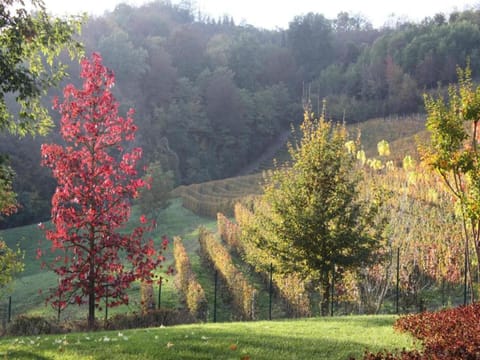 Region [summer] (>5 km)