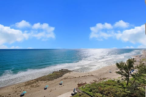 Sun loungers, beach umbrellas, beach towels