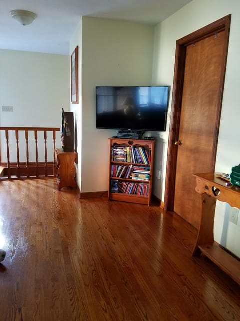 TV, DVD player, books, video library