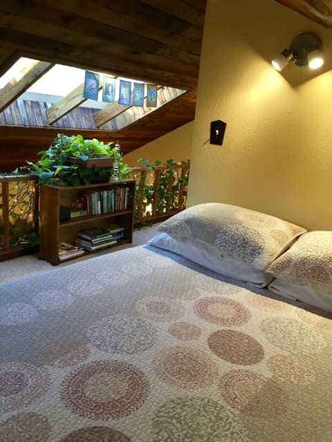 Owls nest built in bed