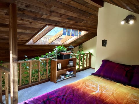 The skylight in the loft offers beautiful views, especially while laying in bed!