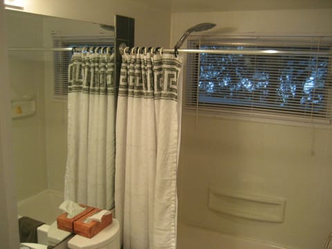 Combined shower/tub, hair dryer, towels, soap