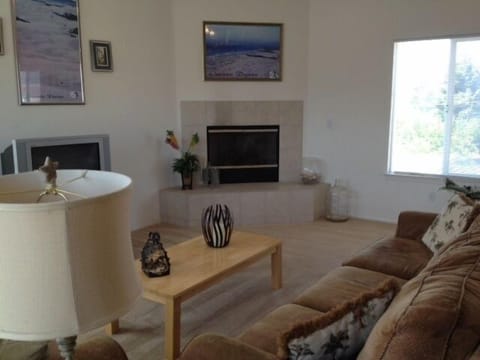 Living area | TV, fireplace, DVD player, table tennis