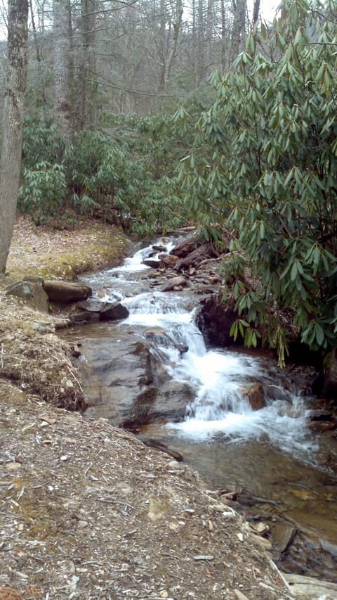 Walk right out to the rushing creek that runs through the property!