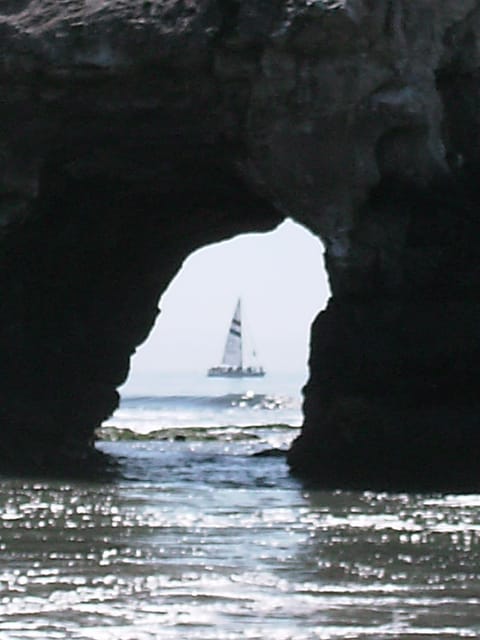 Natural Bridges State Park. Right down the street. The monarch butterfly's live in the eucalyptus in the fall.