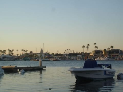 View across the Bay,at the end of street. Enjoy the Fun Zone use the 2 min ferry