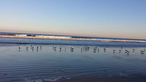 On the beach