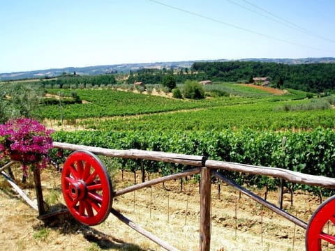 View from the garden to the countryside: BREATH CHIANTI!!!!
