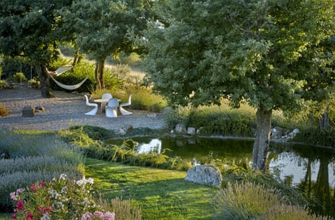 The pond and lounge area