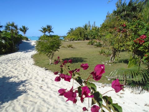 On the beach, sun loungers, beach towels