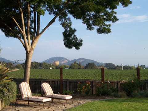 Back Yard Garden with Views of Vineyards 