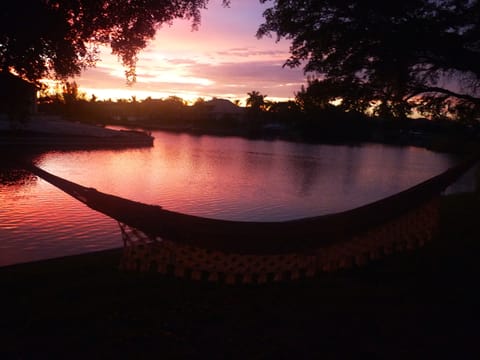 Enjoy the Sunset serenade out of the hammock in our garden