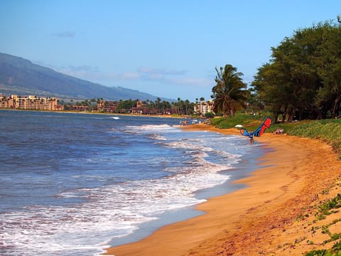 On the beach, sun loungers, beach towels