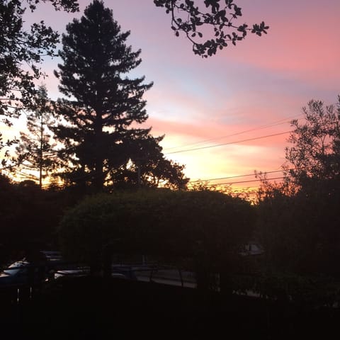 View of Sunset from garden patio
