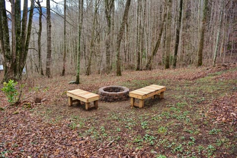 Firepit for roasting marshmallows