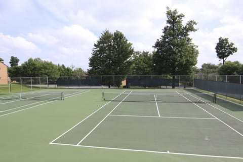 Sport court