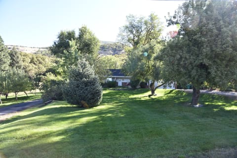 Home tucked against the mountain, grassy front yard