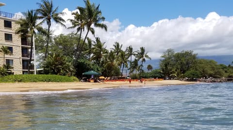 On the beach, sun loungers, beach towels