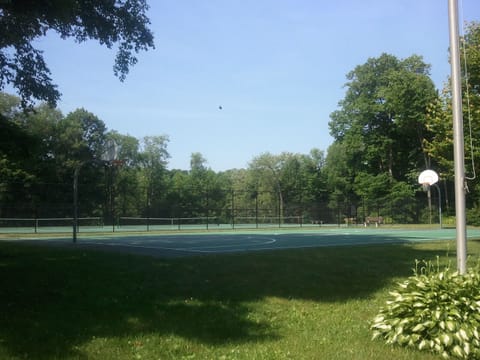 Sport court