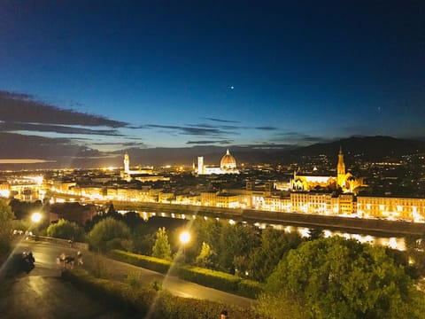 Breathtaking view of Florence by night from Piazzale Michelangelo!!