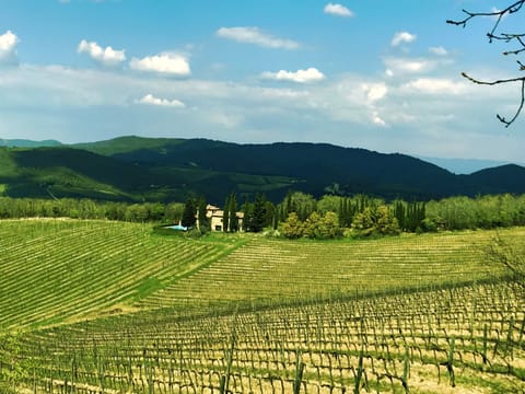 Villa LisiDor location between Chianti vineyards 