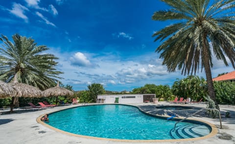 Outdoor pool, sun loungers