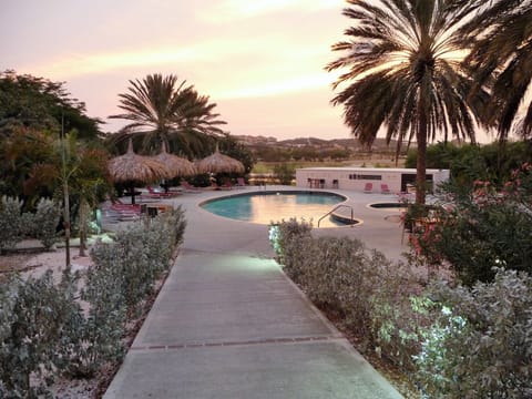 Outdoor pool, sun loungers