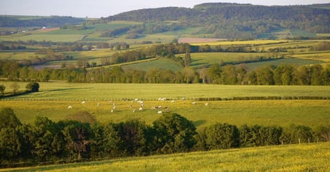 typical Auxois countryside