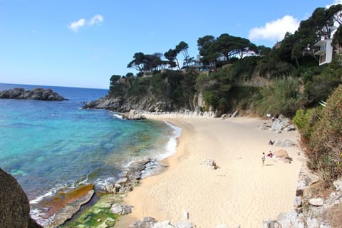 Beach nearby, sun loungers