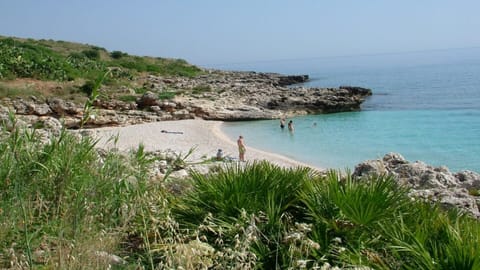 Sun loungers, beach towels