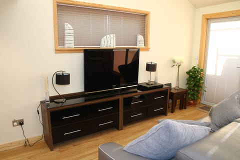 Smart TV, DVD player, books, music library