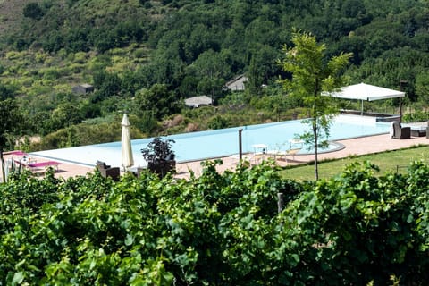 Outdoor pool, an infinity pool