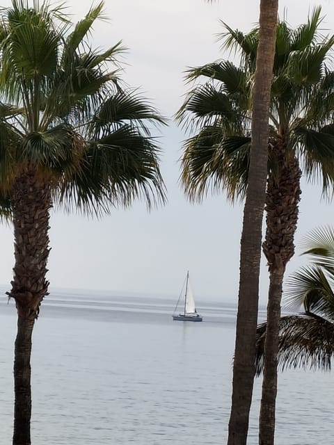 Beach nearby, sun loungers, beach towels