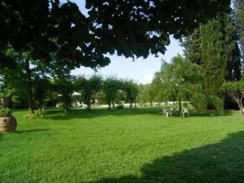 Garden, Park