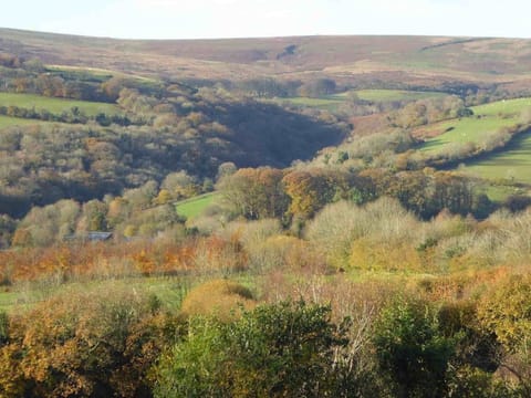 Autumn view over the Moor