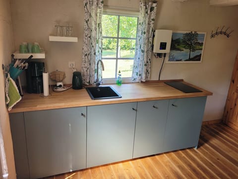 Fridge, stovetop, dishwasher, coffee/tea maker