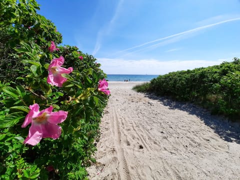 Beach nearby, sun loungers