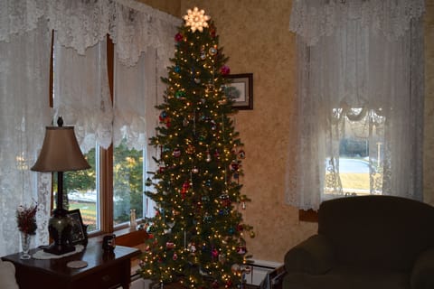 Christmas in the parlor
