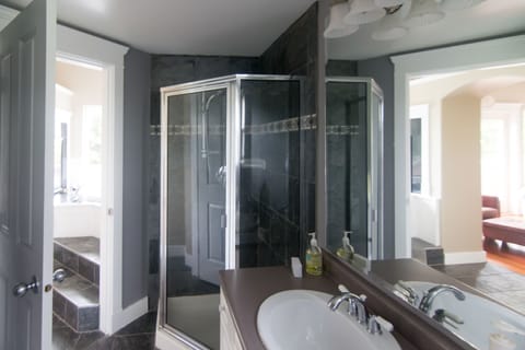 Combined shower/tub, hair dryer, towels, shampoo