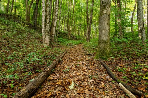Walk along the trail with your family.