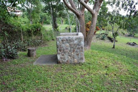 Enjoy BBQ chicken , hot dogs, hamburgers or roast some fresh organic veggies.