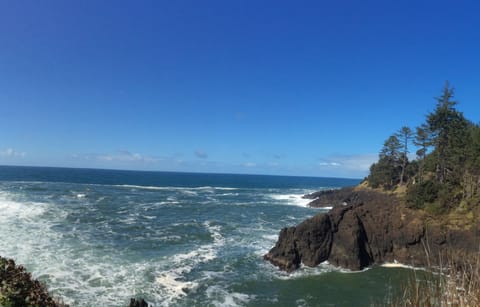 A gorgeous view showing some of the wild beauty on the fabulous Oregon coast!