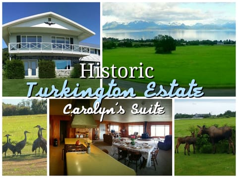 Welcome to Turkington Estate!