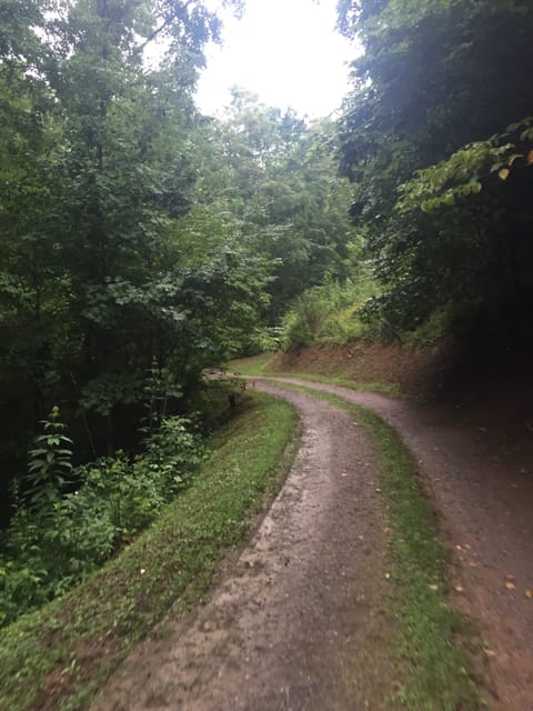 Gravel road leading to cabin. Steep in one area...NO 4 x 4 necessary.