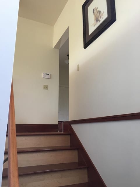 Stairwell leading to lower level downstairs