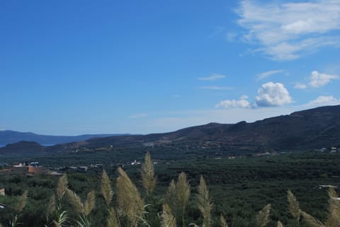 Amazing views from the bedroom balcony