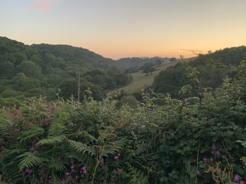 Walk from the cottage for the delights of an evening stroll in high summer